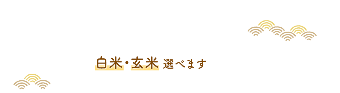 白米・玄米選べます