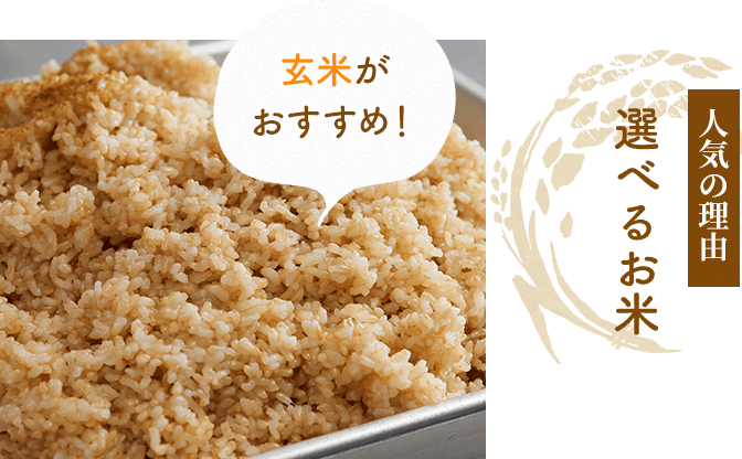 人気の理由―選べるお米