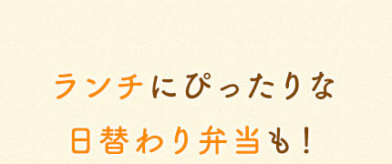 ランチにぴったりな 日替わり弁当も！